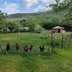 Au Coeur Du Plantaurel *