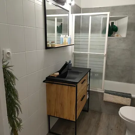 Appartamento Au Coeur Du Plantaurel *